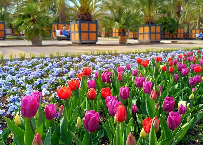 Appartement Gluecksquelle